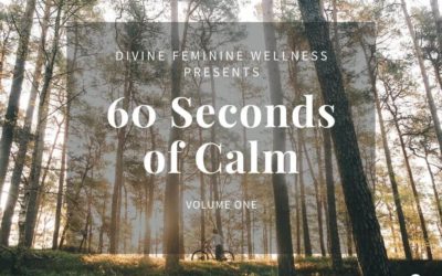 60 Seconds of Calm V.1