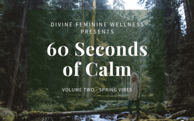 60 Seconds of Calm V.2 – Spring Vibes